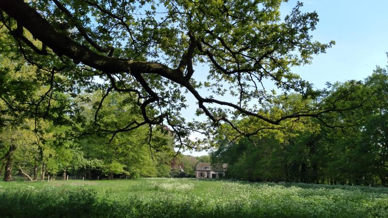 Bloemenweide met het koetshuis op de achtergrond