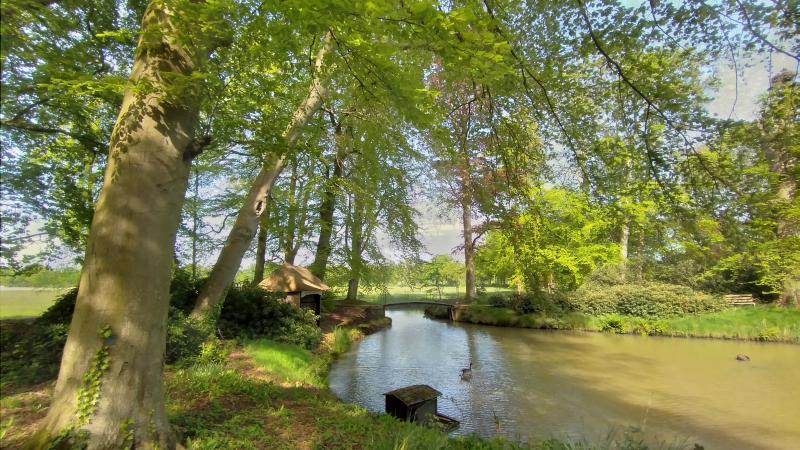 Een zomerse aanblik op de vijver