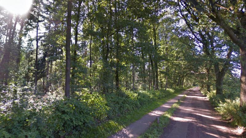 Höllweg Nutter