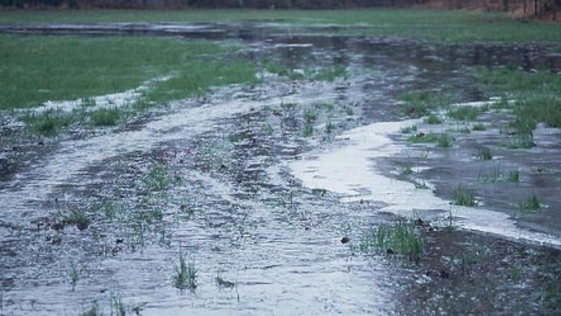 Vloeiweide © Paul Minkjan, Landschapsbeheer Nederland