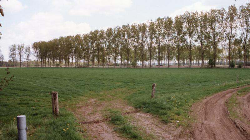 Het Schaddenveld (Bron: Wim Hoogeland).
