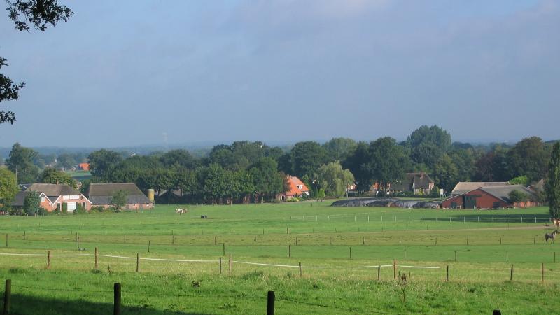 Markelose berg - Foto Landschap Overijssel