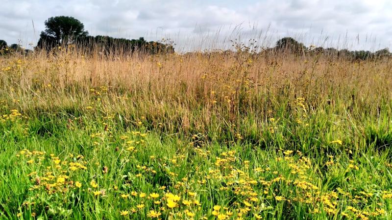 Hooilanden De Stapel nabij het grensriviertje de Reest