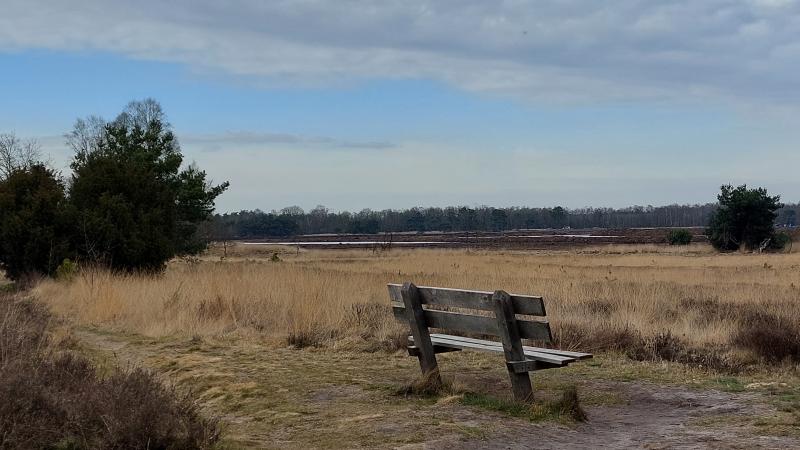 Elsenerveen, de Borkeld