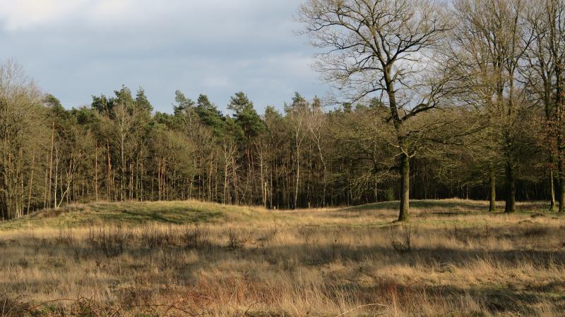 Grafheuvels Elsen, De Borkeld