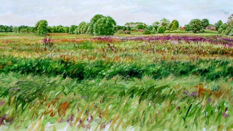 Langs-de-Reest-Den Huizen