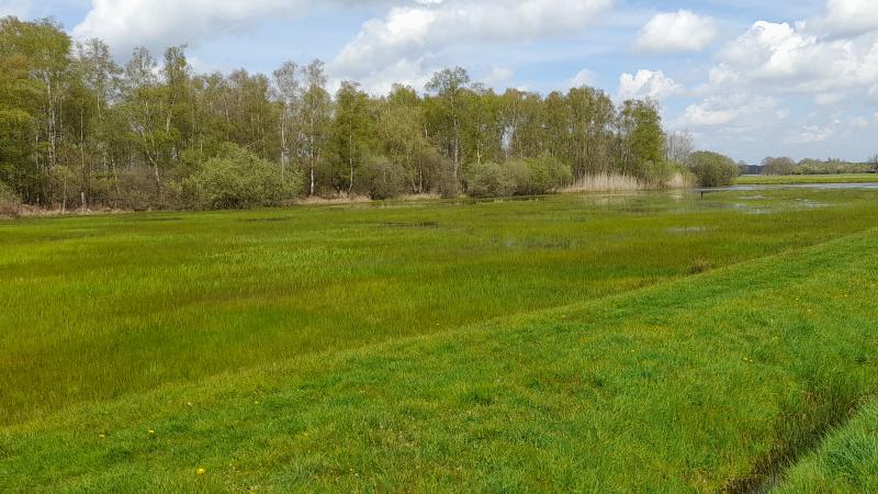 Nieuwe natuur Haaksbergen