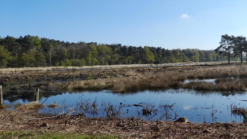 Haaksbergsveen