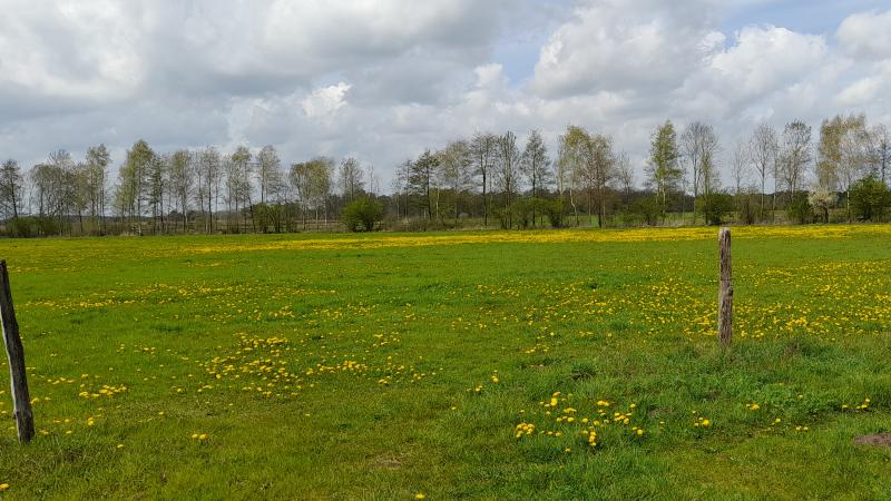 Nieuwe en oude natuur