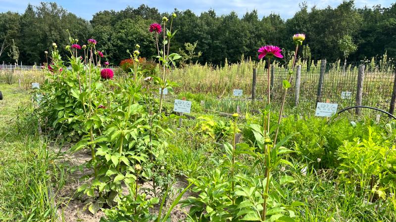 Buitenplaats Vinckeboom