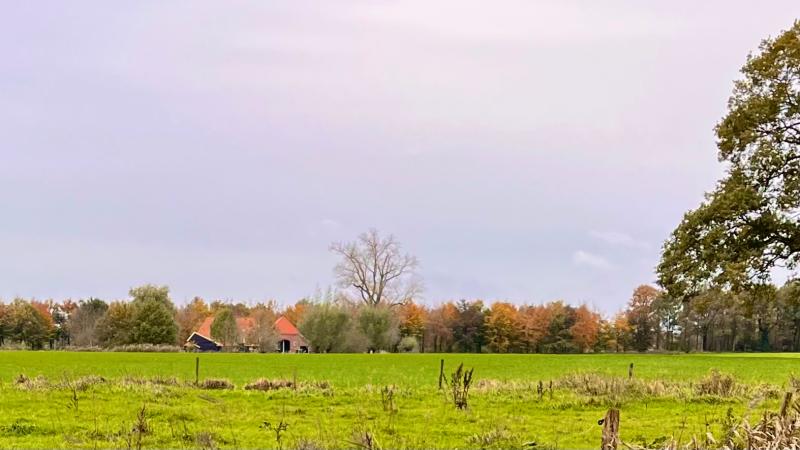 Boerderijen Westerflier