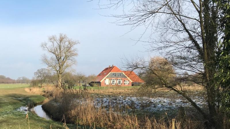 Oorsprong Regge Westerflier