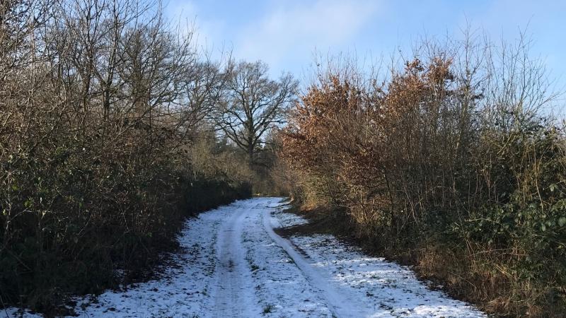 Holle weg Westerflier