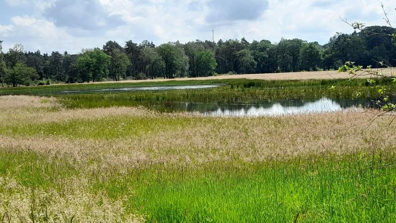 Nieuwe natuur Smitterijweg