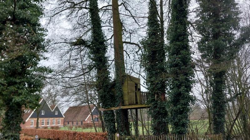 Fraai stukje geriefhout met boomhut 