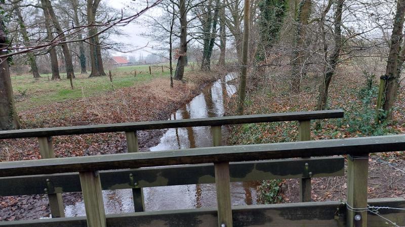 Houten bruggetje over de Rutbeek