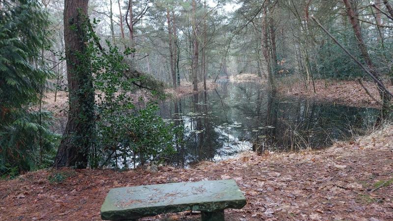Bankje van natuursteen als ware het een paddestoel van steen hier gegroeid. 