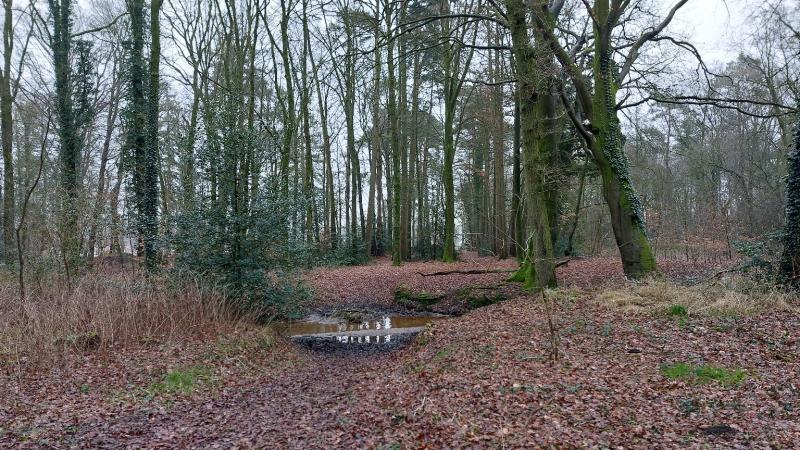 De Teesinkbeek stroomt geluidloos langszij