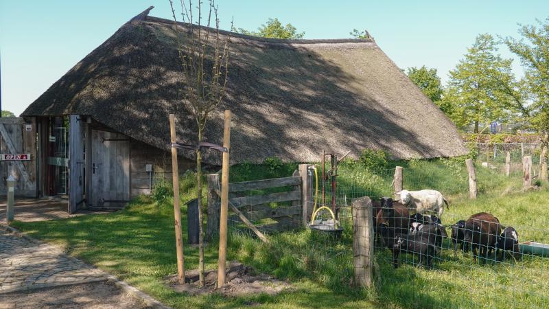 Schaapskooi 't Skoap'nskot