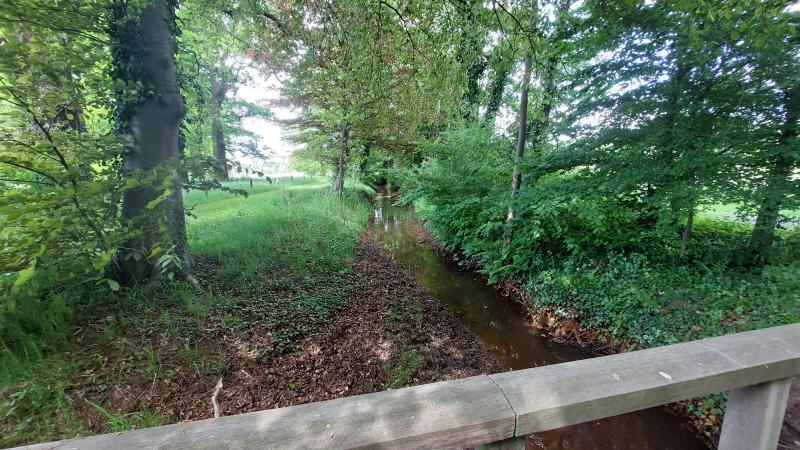 Houten bruggetje over de Rutbeek in zomertooi