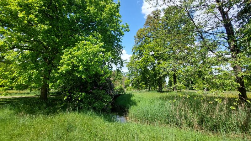 En zachtkens kabbelt het beekje al slingerend door het groene landschap rond huis Ter Weele. 