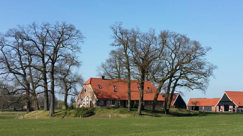 Erve Hondeborg