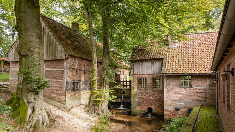 Ensemble watermolen Bels - Gonny Sleurink