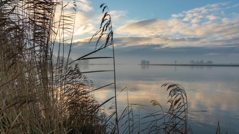 IJssel bij Scherenwelle - Gonny Sleurink