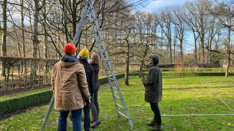Cursus hoogstamfruit - Ilona Dijkman