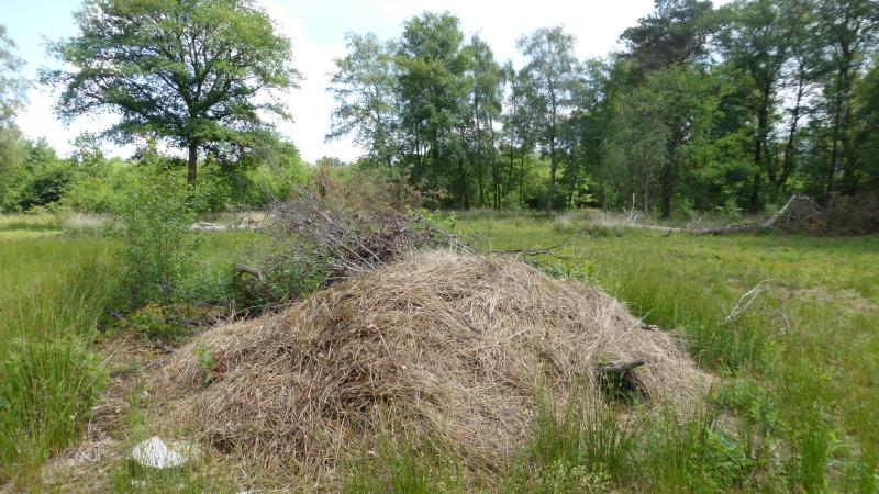 Broeihoop - Michiel Poolman