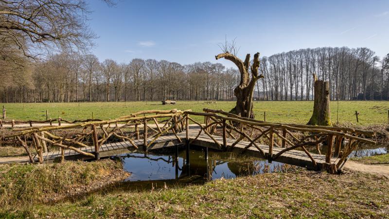 Driepuntsbrug de Horte - Gonny Sleurink