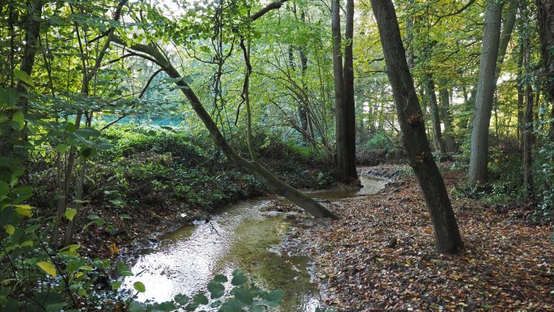 Beek op 't Holthuis - Nico Kloek