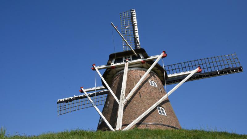 Molen van Frielink - Margot Schulte