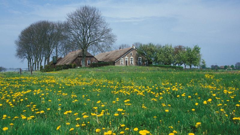 Boerderij op terp Kampereiland - Bertus Webbink