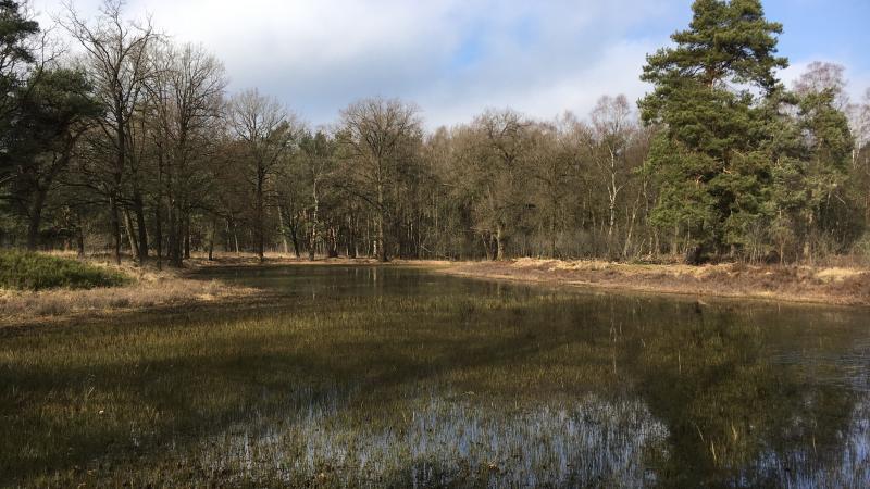 Vloeiweide Lonnekermeer - Martijn Horst