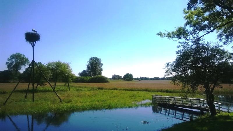 IJhorst 2014: overstroming Reest bij kerk. 
