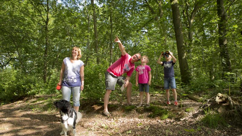 Beleef samen natuurgebied 'Haardennen'
