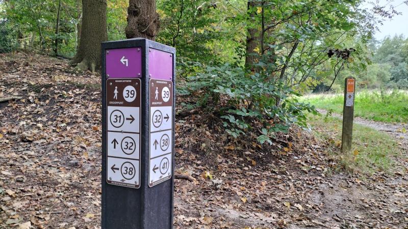 Wandelmarkering in de provincie Drenthe (pijl: bruin) en Overijssel (gekleurde pijlen)