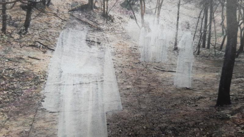 Bron: kaart 'Mysteries van het Reestdal'