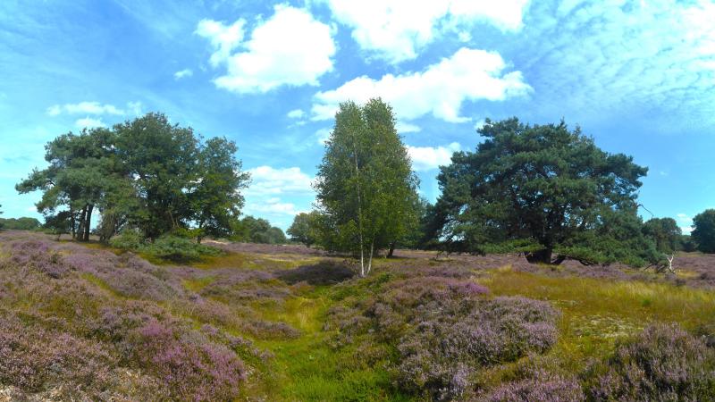 'Het Reestdal', ons erfgoed op De Wildenberg
