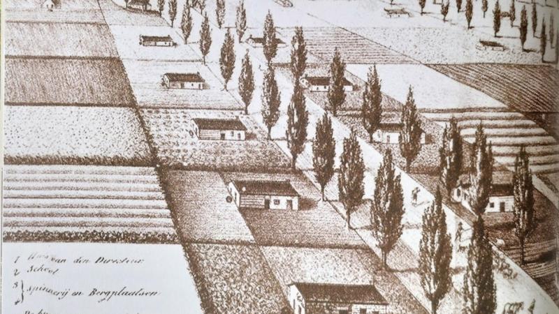 De lanenstructuur in Wortelkolonie, België