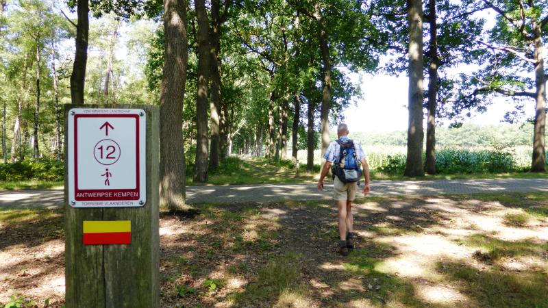 Eén van de kolonielanen in Merksplas, België 