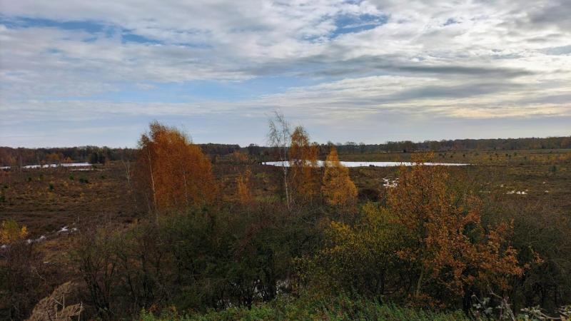 Kijkheuvel Takkenhoogte, zicht op Riegmeer