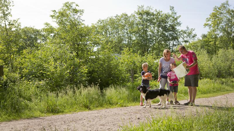 Beleef samen het natuurgebied Haardennen