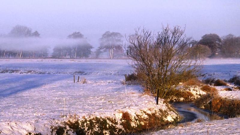 Bron: Levend Reestdal. Filmauteur Hilco Hof