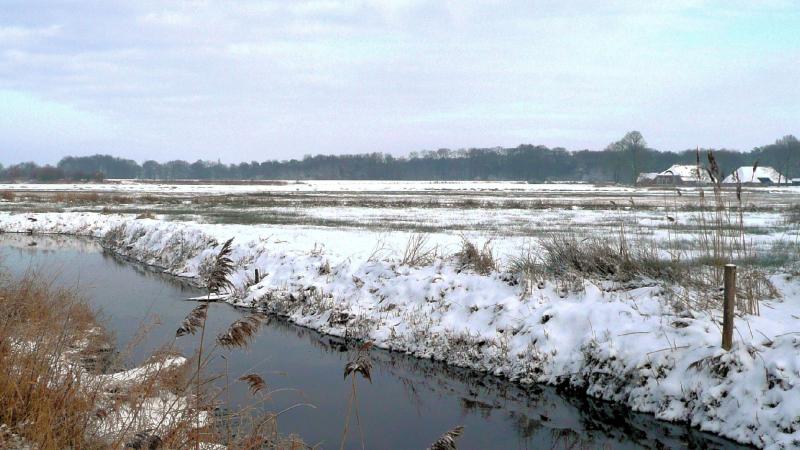 Zicht op Reest en natuurgebied Wildenberg