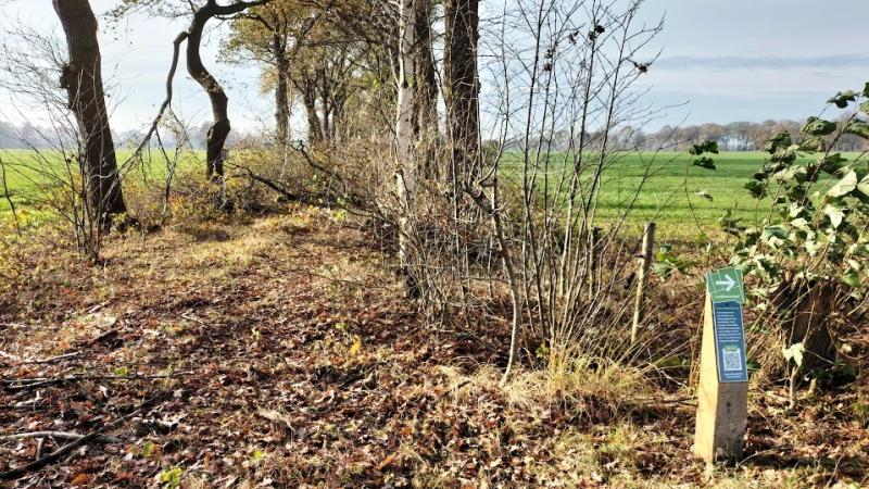 Zijlaan van de Meesterslaan